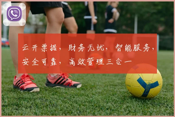 云开票据，财务无忧，智能服务，安全可靠，高效管理三合一
