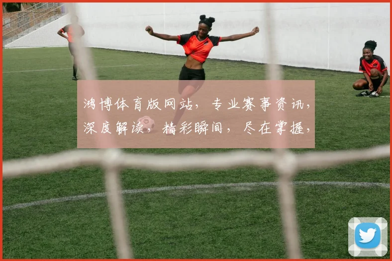 鸿博体育版网站，专业赛事资讯，深度解读，精彩瞬间，尽在掌握，体育迷必看