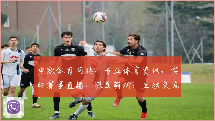 中欧体育网站，专业体育资讯，实时赛事直播，深度解析，互动交流，三大亮点汇聚一网