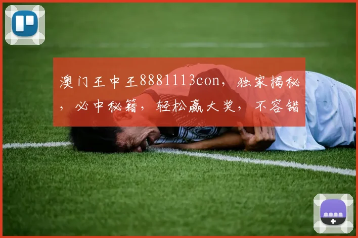 澳门王中王8881113con，独家揭秘，必中秘籍，轻松赢大奖，不容错过
