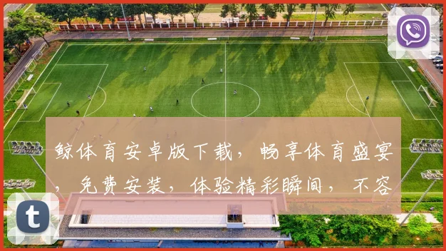 鲸体育安卓版下载，畅享体育盛宴，免费安装，体验精彩瞬间，不容错过
