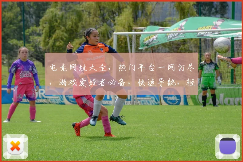电竞网址大全，热门平台一网打尽，游戏爱好者必备，快速导航，轻松畅玩