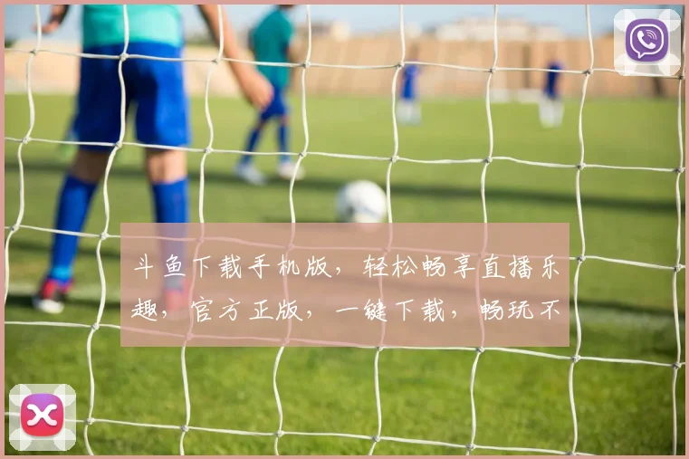 斗鱼下载手机版，轻松畅享直播乐趣，官方正版，一键下载，畅玩不停，快来体验